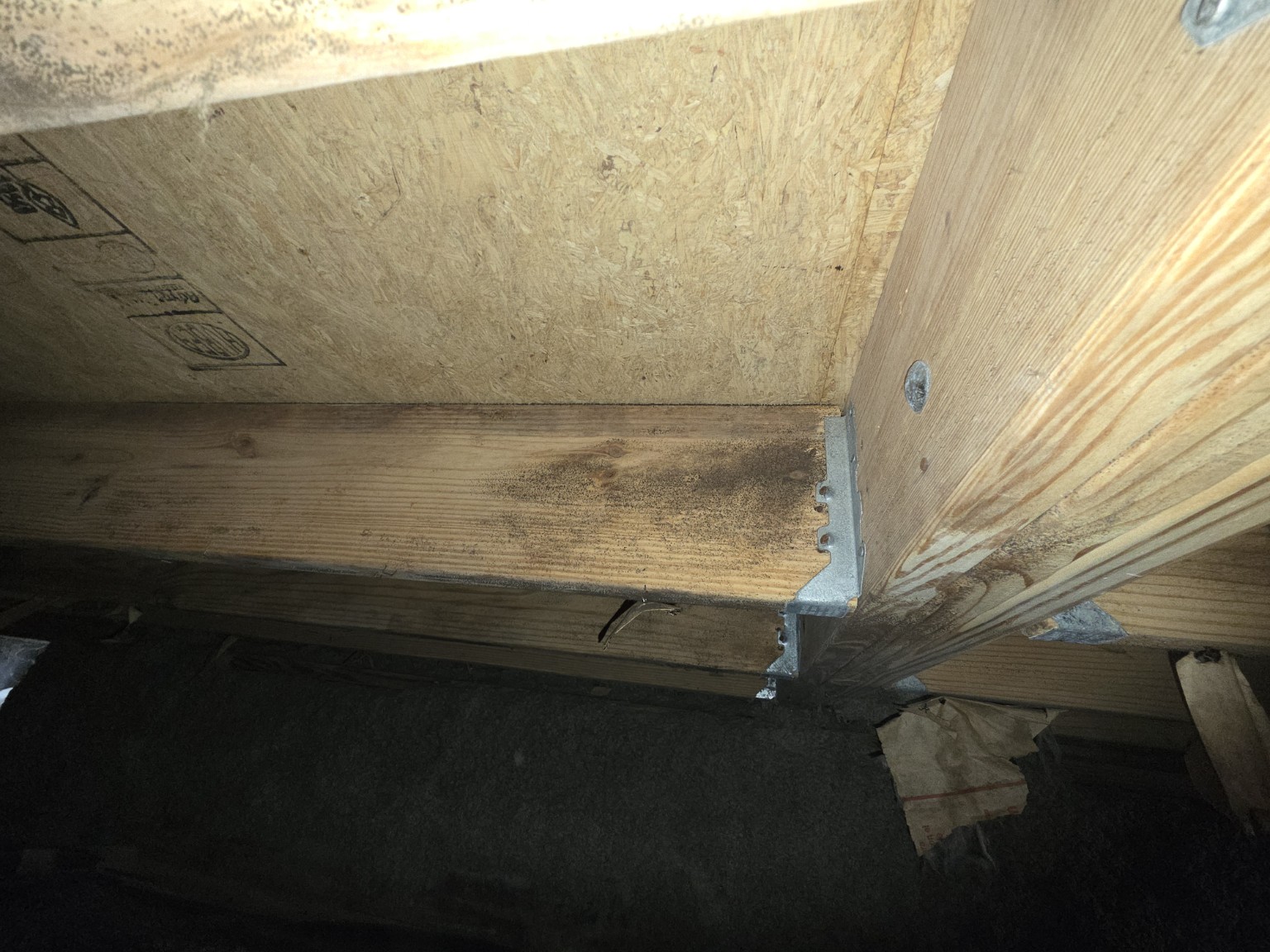 White House, Tennessee crawlspace mold project showing dark spotting on wooden framing beneath the subfloor